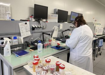 Sécurité alimentaire : au cœur d’un labo de surveillance