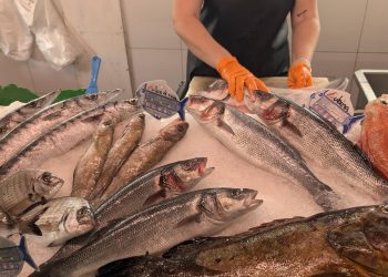 Pourquoi mange-t-on du poisson le vendredi ?