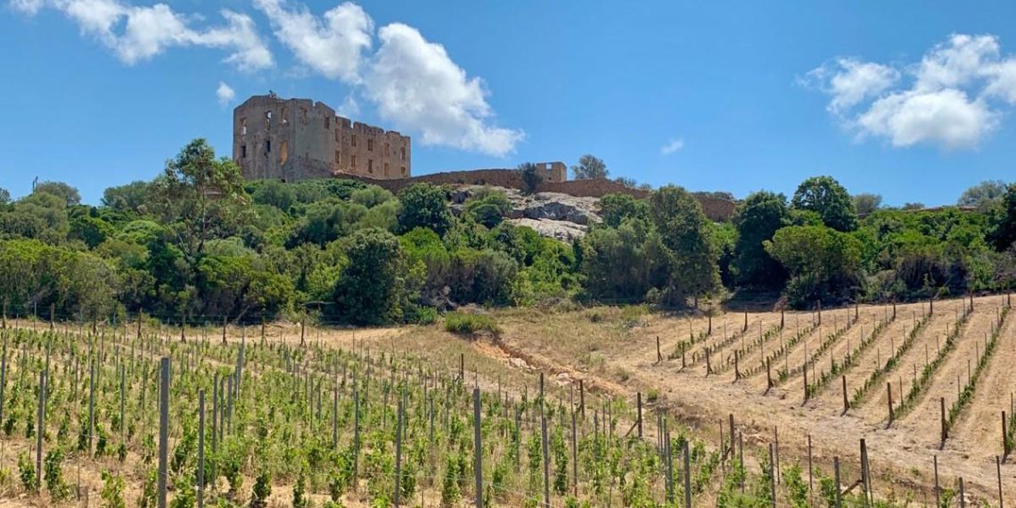 Corse : la grogne des entrepreneurs face à l’écologie punitive