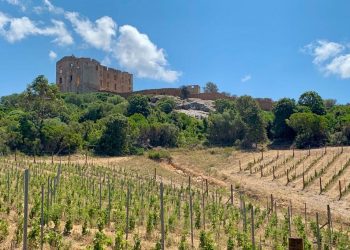 Corse : la grogne des entrepreneurs face à l’écologie punitive