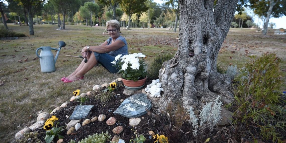Toussaint : une forêt pour sépulture en Bretagne