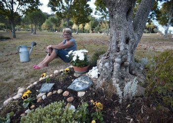 Toussaint : une forêt pour sépulture en Bretagne