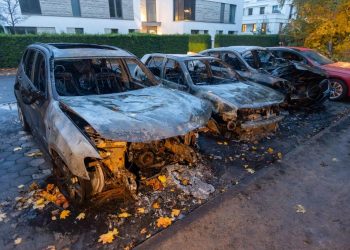 Allemagne : la voiture d’un député de l’AfD incendiée par des antifas