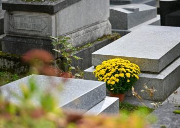 «Un acte ignoble» : la tombe d’un héros de la Première Guerre mondiale saccagée