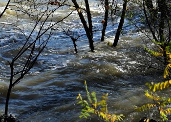 Intempéries en Ardèche : un septuagénaire est porté disparu, d’importants moyens déployés pour le retrouver