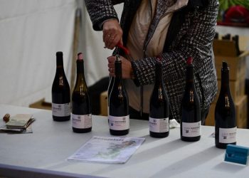 Lancement du Beaujolais nouveau : «Un vin fédérateur qui réchauffe les cœurs»
