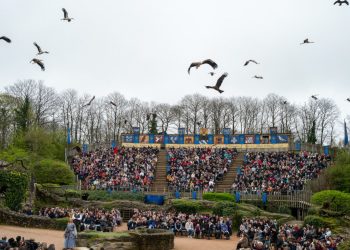 Plus de 3 millions de visiteurs au Puy du Fou en 2025 : «C’est un record extraordinaire», se réjouit Nicolas de Villiers