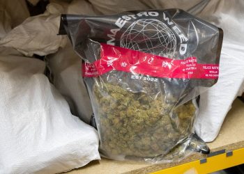 Côte-d’Or : Un homme de ménage trouve des produits stupéfiants dans un appartement loué en Airbnb