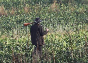 Haute-Savoie : Un septuagénaire décédé au cours d’une partie de chasse