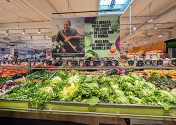 Isère : Une femme glisse une feuille de salade en faisant ses courses et attaque le supermarché en justice