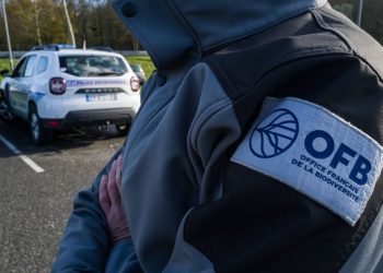 Hérault : Douze personnes interpellées après le démantèlement d’un trafic d’animaux