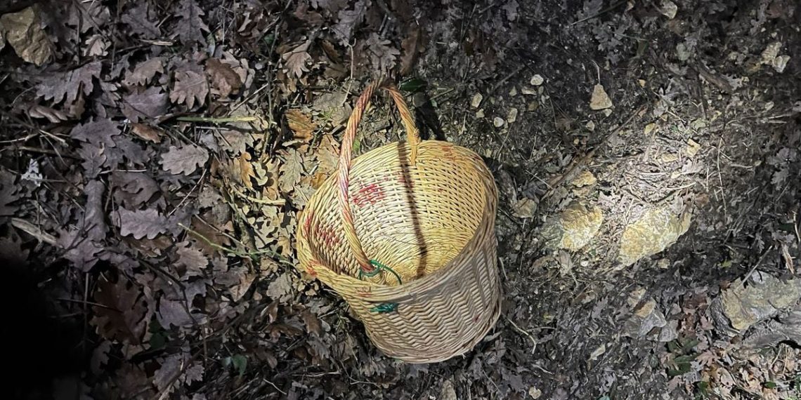 Vaucluse : Perdu dans la nuit et le froid, le cueilleur de champignons de 82 ans sauvé grâce à un chien