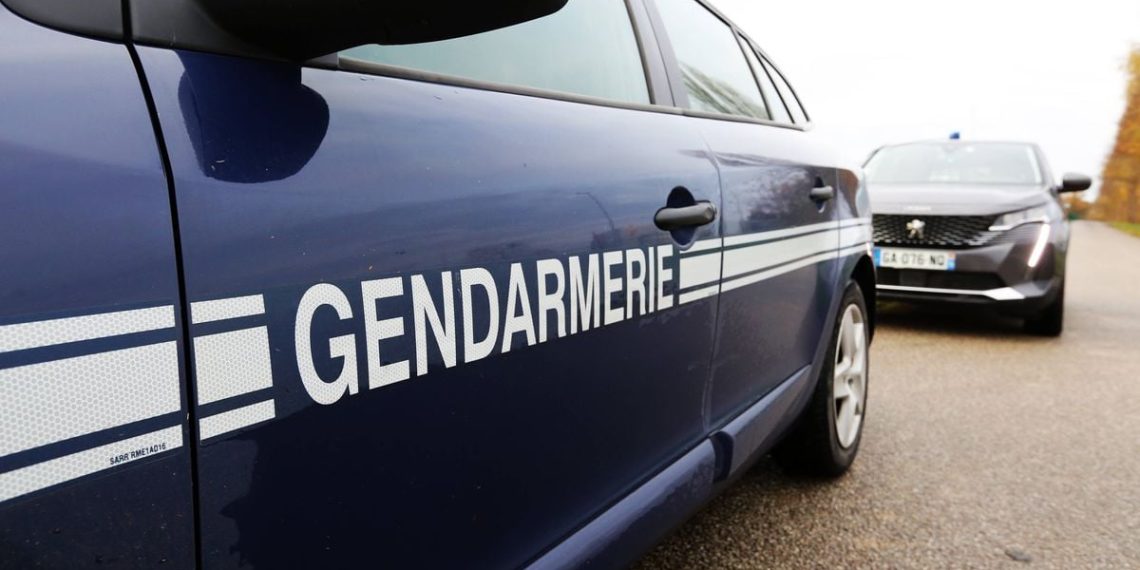 Pyrénées-Atlantiques : Un homme placé en garde à vue après avoir tiré sur un gendarme