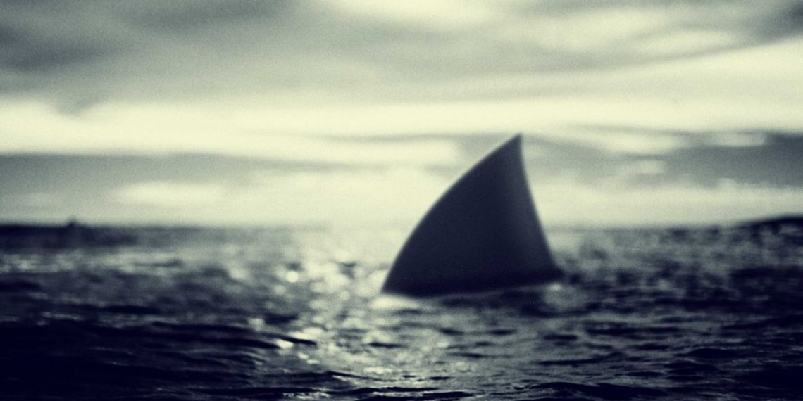 Polynésie : Un nageur mordu par un requin aux Marquises