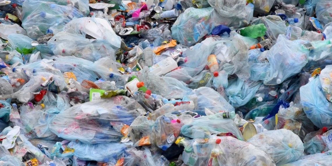 Haute-Vienne : Un « Village Zéro Déchet » s’installe dans une bibliothèque