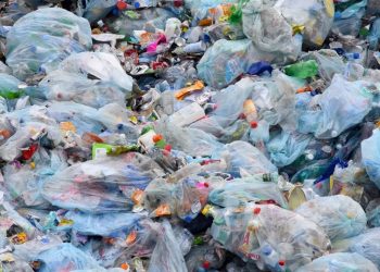 Haute-Vienne : Un « Village Zéro Déchet » s’installe dans une bibliothèque