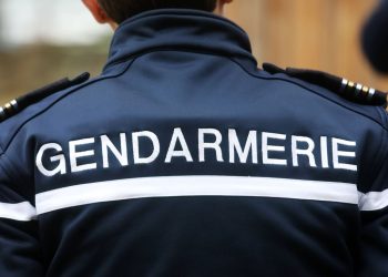 Marne : Un sans-abri soupçonné de vouloir commettre un cambriolage a été arrêté dans un lotissement