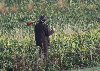 Indre-et-Loire : Un chasseur se blesse au pied avec son fusil défectueux