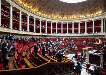 Assemblée nationale : un collectif de députés dénonce les propos anti-Harkis d’un élu LFI