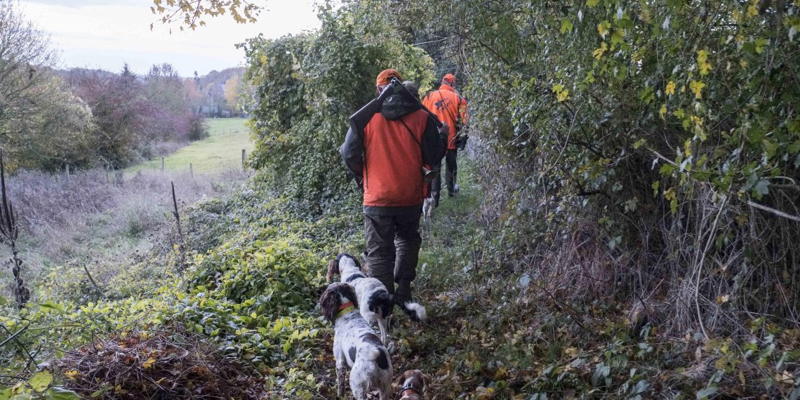 Interdiction du plomb : les chasseurs ciblés par l’aveuglement technocratique de Bruxelles