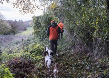 Interdiction du plomb : les chasseurs ciblés par l’aveuglement technocratique de Bruxelles