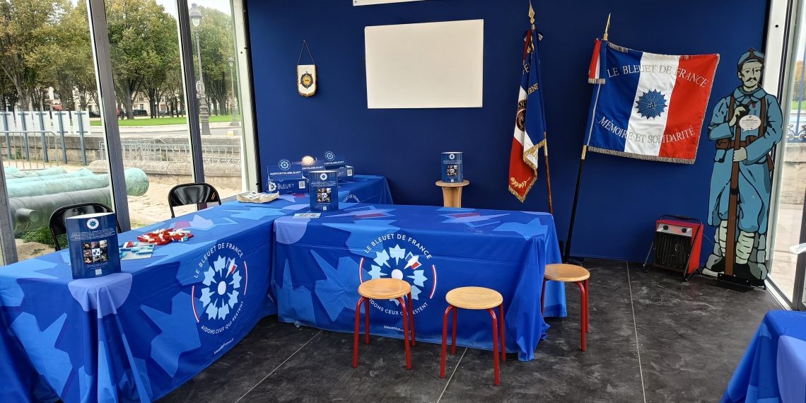 Bleuet de France : une fleur pour se souvenir