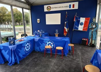 Bleuet de France : une fleur pour se souvenir