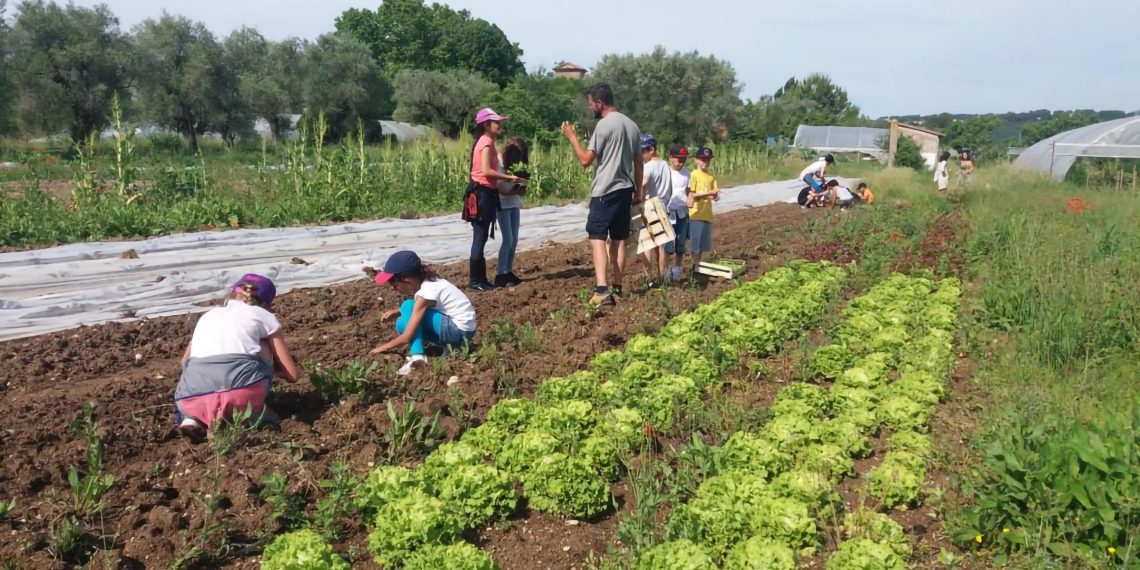 Initiatives locales : la France qui marche