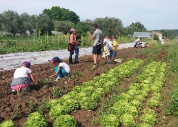 Initiatives locales : la France qui marche