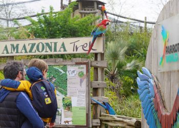 Parrot World : l’Amérique du Sud aux portes de Paris !