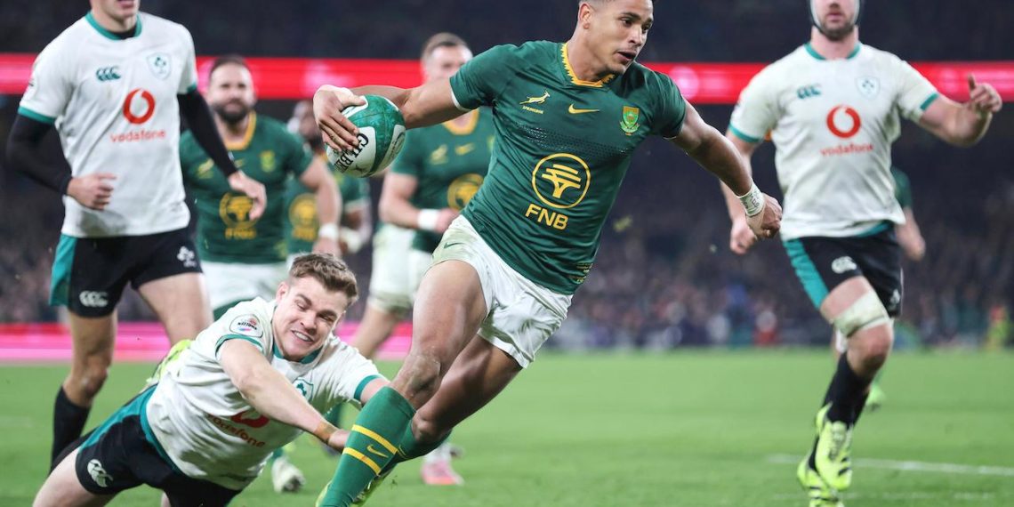Rugby : l’Afrique du Sud climatise Irlande