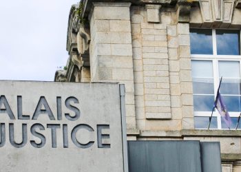 Rhône : un clandestin algérien multirécidiviste condamné pour l’agression d’une octogénaire