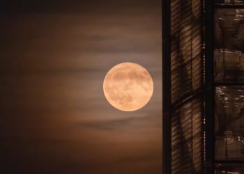 Qu’est-ce que la super Lune du Castor ?