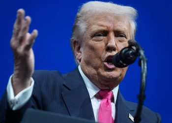 Guerre en Ukraine : le plan de paix de Donald Trump met la pression sur Kiev