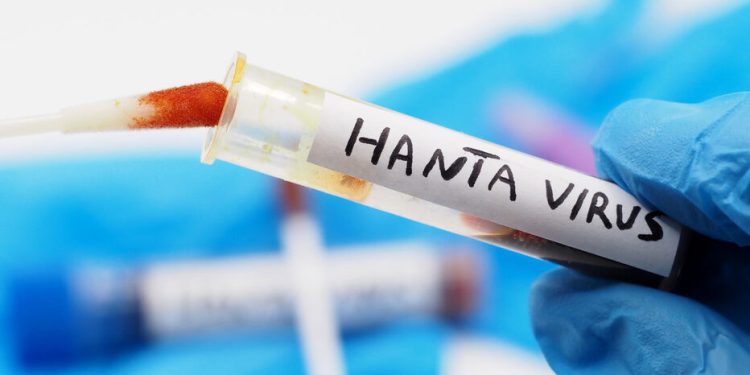 Hantavirus – La Française contaminée maintenue en vie via un poumon artificiel !